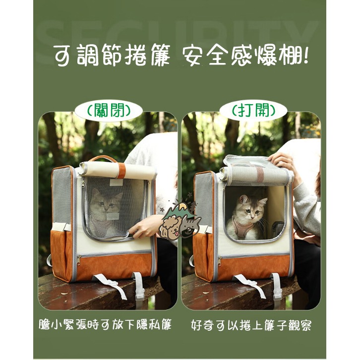【汪喵森活】 加大! 透氣撞色後背包 捲簾小窗 寵物背包 寵物後背包 寵物外出包 貓外出包 貓狗背包 寵物帳篷 貓狗帳篷-細節圖2