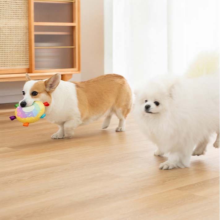 【汪喵森活】 15cm 3款 發聲玩具 飛盤玩具 寵物玩具 狗玩具 咬咬玩具 狗狗解悶神器 寵物飛盤 狗飛盤 響鈴玩具-細節圖8