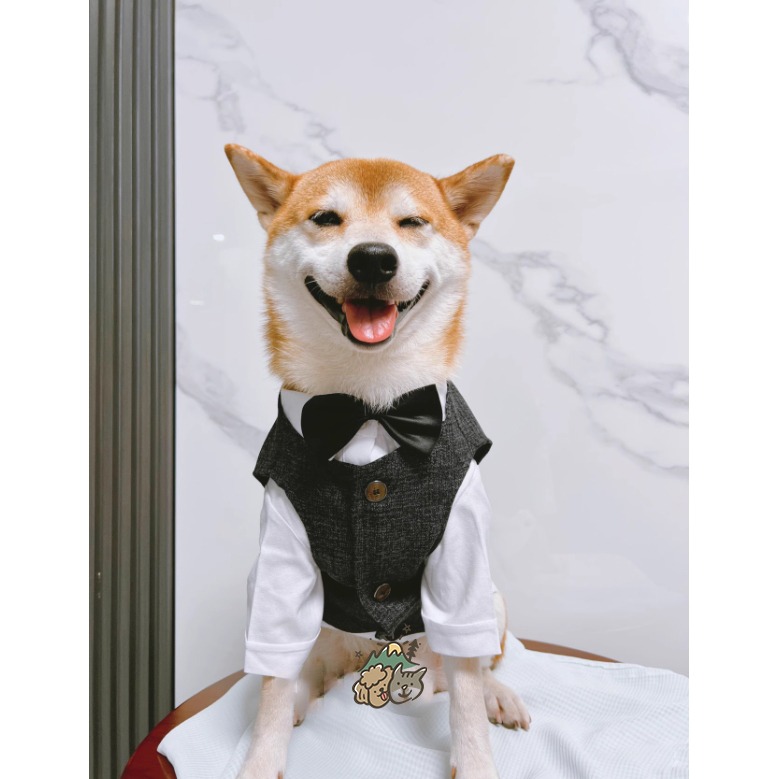【汪喵森活】 寵物西裝 狗西裝 狗禮服 寵物衣服 寵物禮服 柯基 柴犬 婚禮 寵物襯衫 寵物生日 婚紗照 紅色黑色蝴蝶結-細節圖4