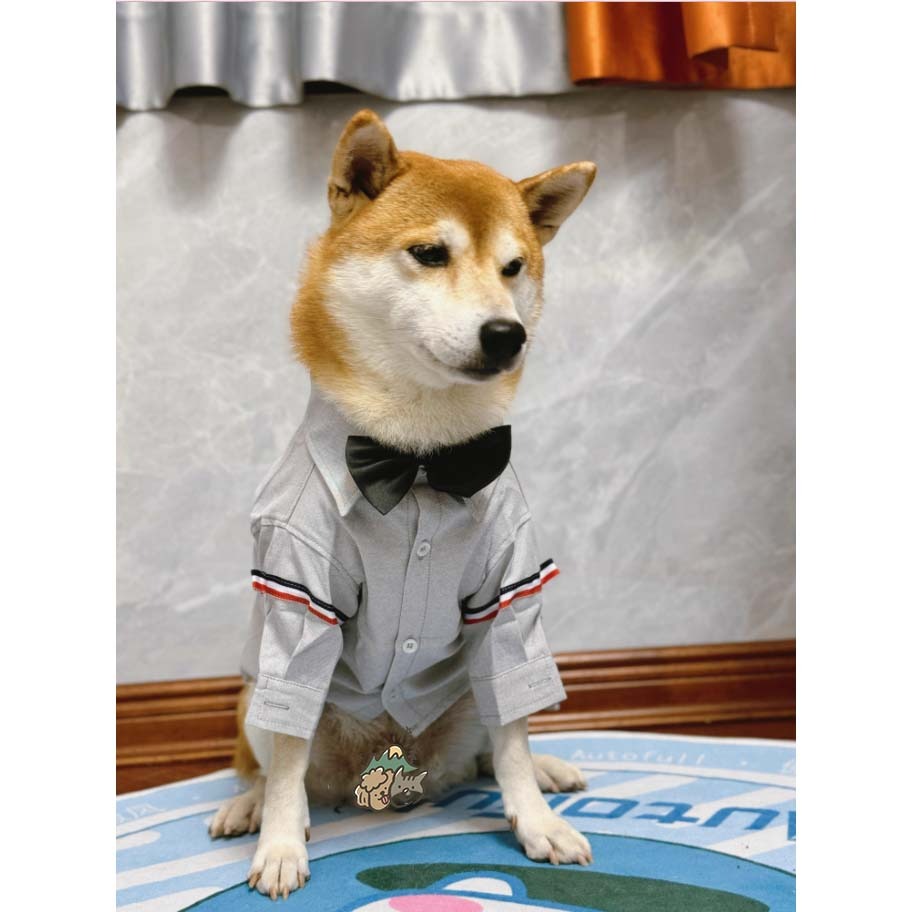 【汪喵森活】 2色 寵物襯衫 狗襯衫 日系襯衫 狗禮服 寵物衣服 寵物禮服 柯基 柴犬 婚禮 派對 狗西裝 寵物西裝-細節圖3