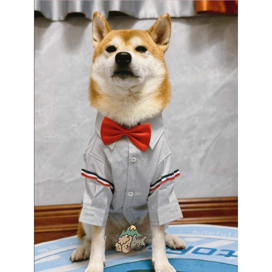 【汪喵森活】 2色 寵物襯衫 狗襯衫 日系襯衫 狗禮服 寵物衣服 寵物禮服 柯基 柴犬 婚禮 派對 狗西裝 寵物西裝-細節圖4