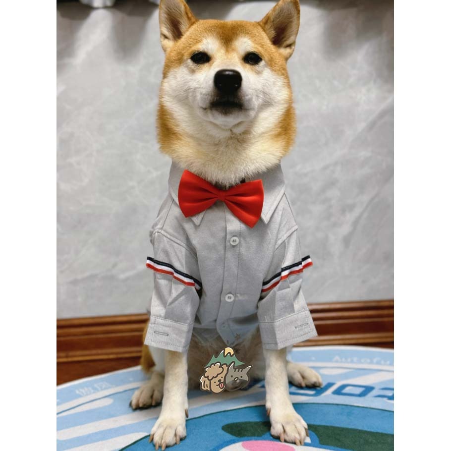 【汪喵森活】 2色 寵物襯衫 狗襯衫 日系襯衫 狗禮服 寵物衣服 寵物禮服 柯基 柴犬 婚禮 派對 狗西裝 寵物西裝-細節圖5