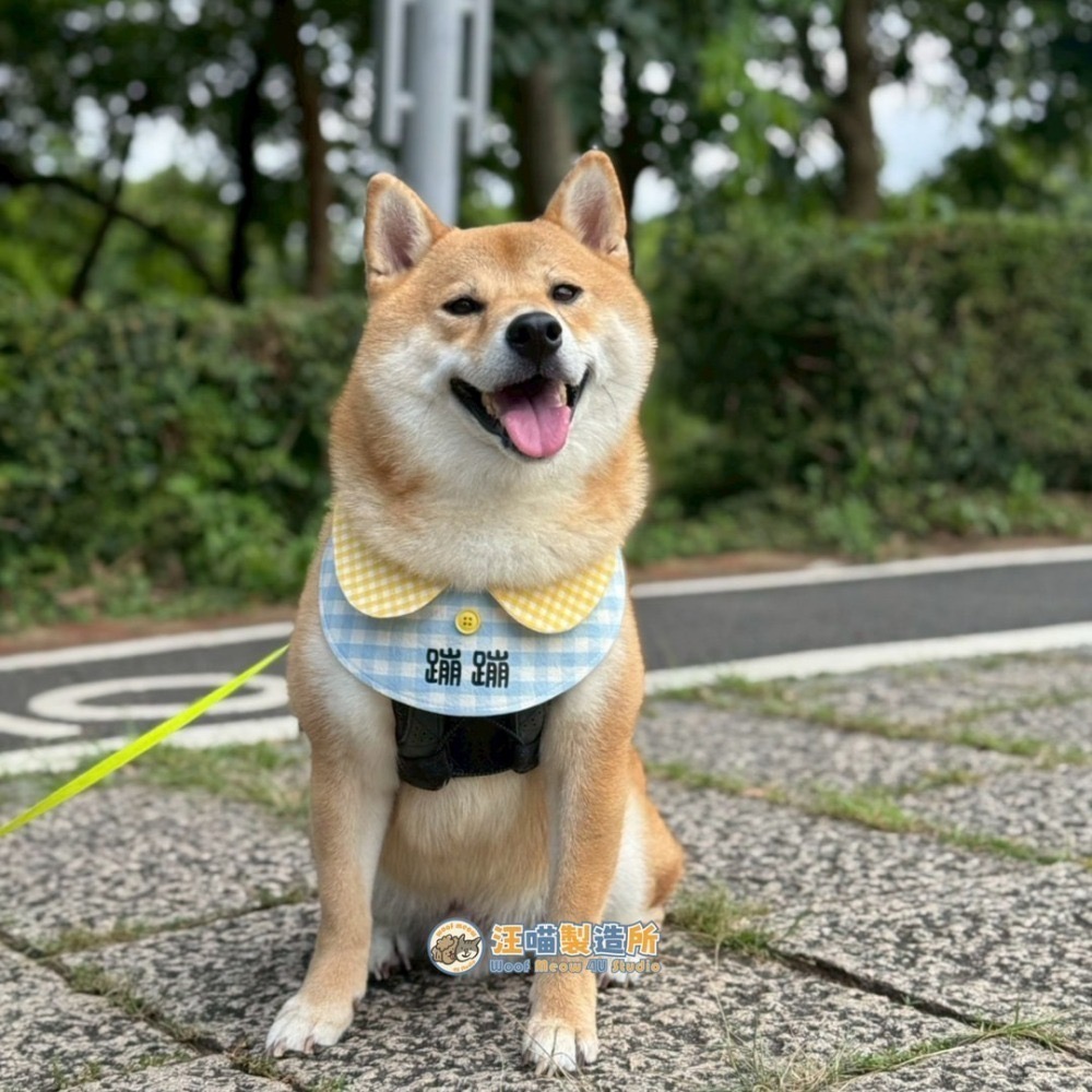 【汪喵森活】 圓領圍兜 10款 圍兜 客製化 寵物口水巾 領巾 寵物領巾 客製領巾 客製化領巾 客製口水巾 狗狗口水巾-細節圖2