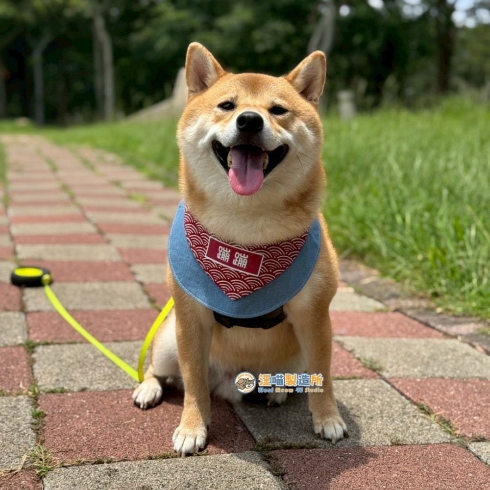 【汪喵森活】 圓領圍兜 10款 圍兜 客製化 寵物口水巾 領巾 寵物領巾 客製領巾 客製化領巾 客製口水巾 狗狗口水巾-細節圖3