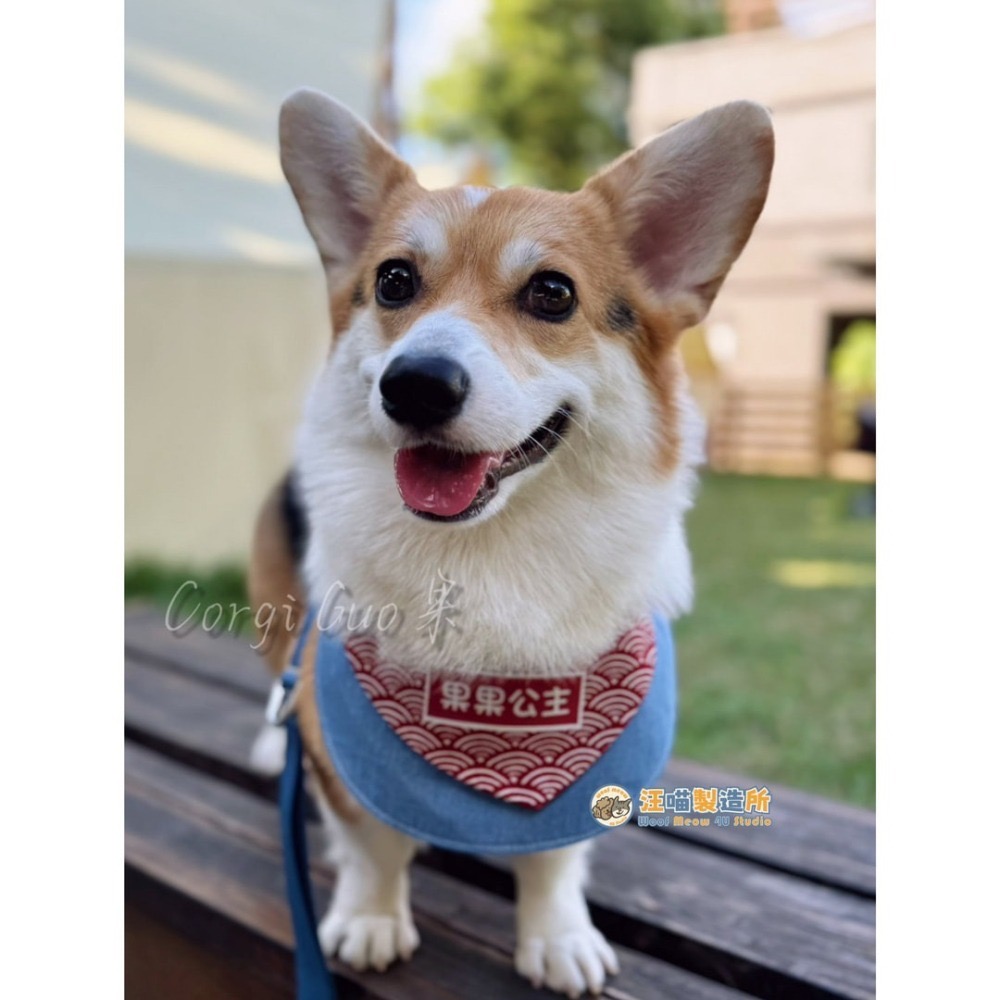 【汪喵森活】 圓領圍兜 10款 圍兜 客製化 寵物口水巾 領巾 寵物領巾 客製領巾 客製化領巾 客製口水巾 狗狗口水巾-細節圖4