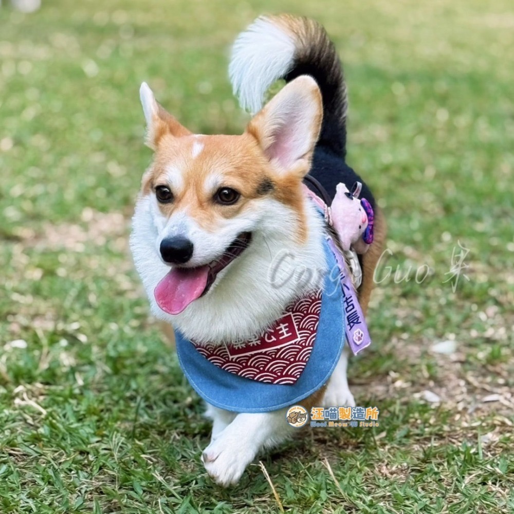 【汪喵森活】 圓領圍兜 10款 圍兜 客製化 寵物口水巾 領巾 寵物領巾 客製領巾 客製化領巾 客製口水巾 狗狗口水巾-細節圖5