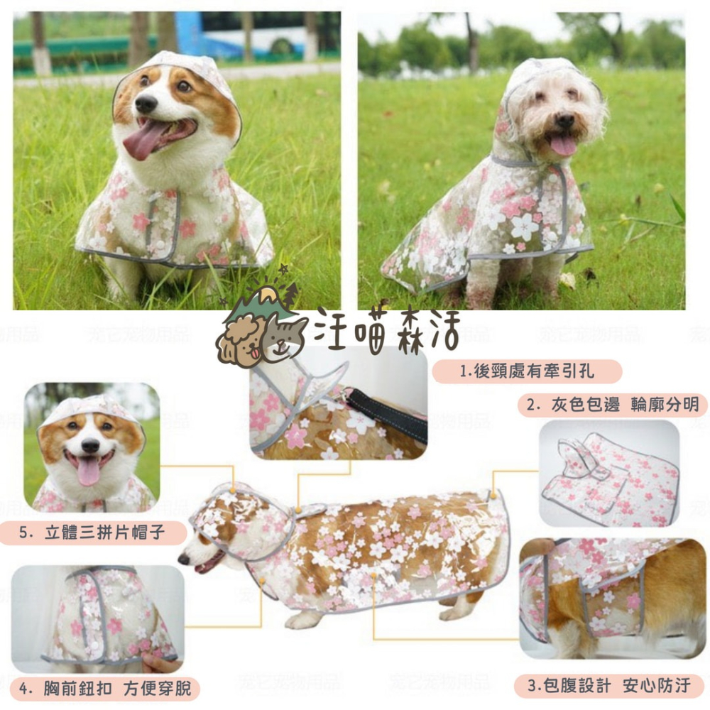 【汪喵森活】 櫻花 透明披風雨衣 40kg內 披風雨衣 斗篷雨衣 簡易雨衣 狗雨衣 寵物雨衣 柴犬 柯基 米克斯 小型犬-細節圖7