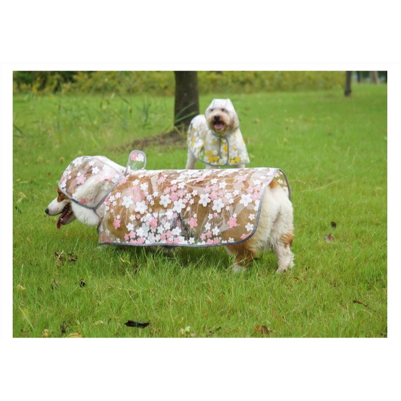 【汪喵森活】 櫻花 透明披風雨衣 40kg內 披風雨衣 斗篷雨衣 簡易雨衣 狗雨衣 寵物雨衣 柴犬 柯基 米克斯 小型犬-細節圖8