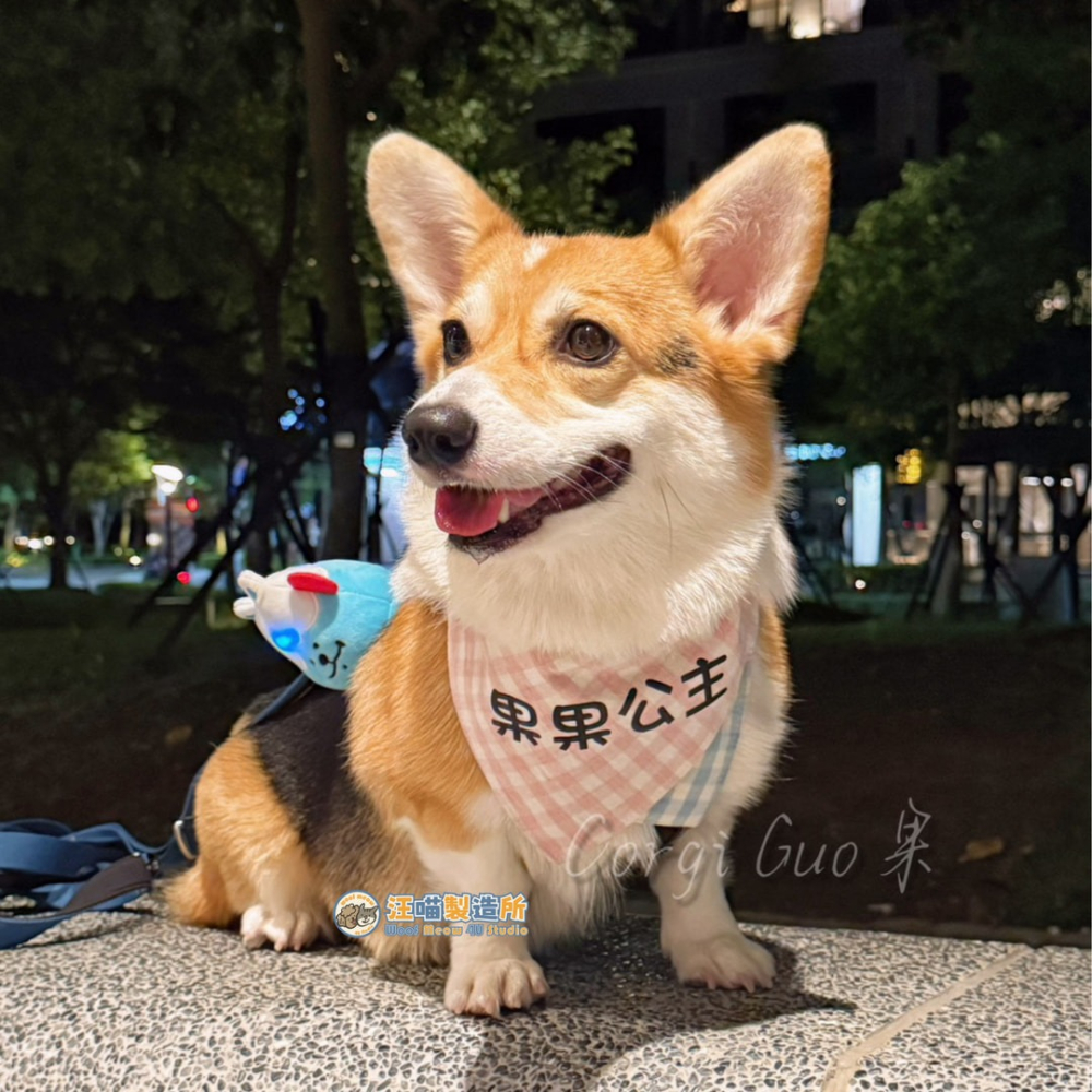 【汪喵森活】 馬卡龍 三角巾 客製化 寵物口水巾 領巾 寵物領巾 客製領巾 客製化領巾 客製口水巾 狗狗口水巾 寵物名牌-細節圖2