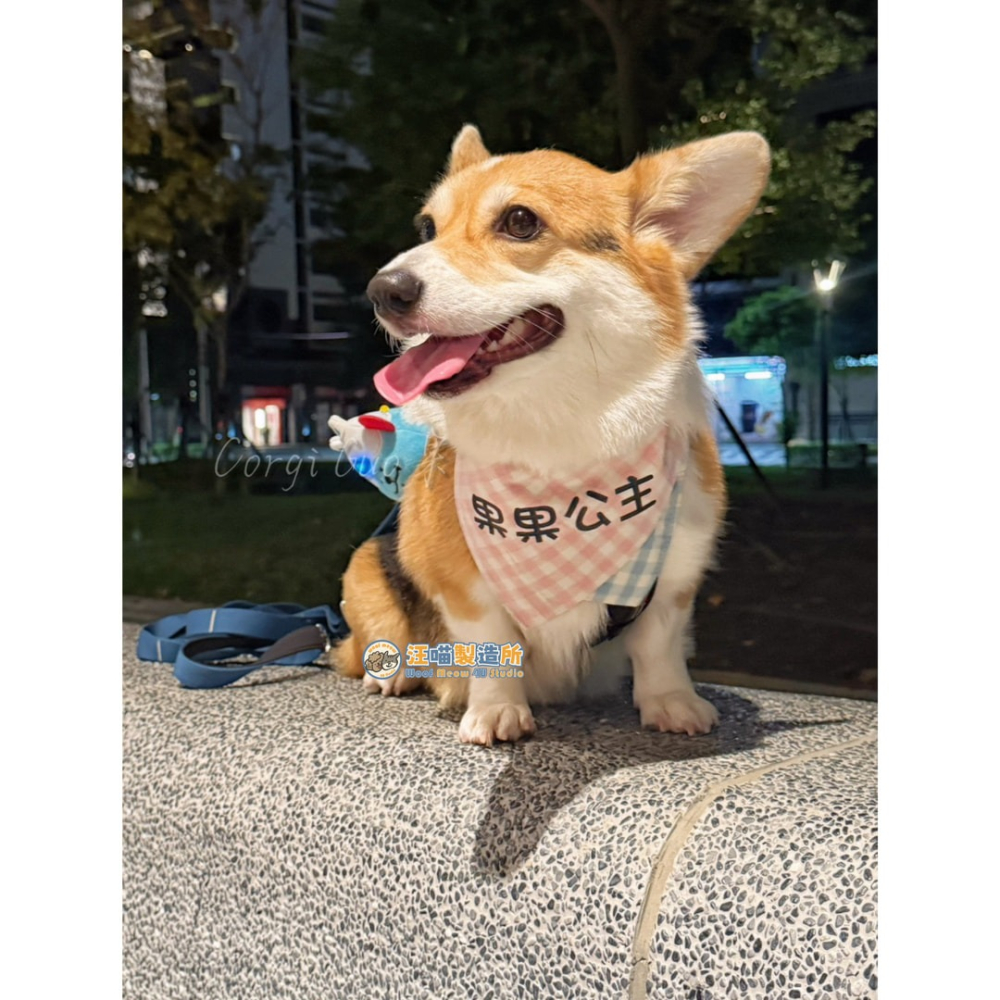 【汪喵森活】 馬卡龍 三角巾 客製化 寵物口水巾 領巾 寵物領巾 客製領巾 客製化領巾 客製口水巾 狗狗口水巾 寵物名牌-細節圖3