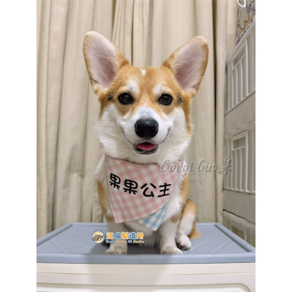 【汪喵森活】 馬卡龍 三角巾 客製化 寵物口水巾 領巾 寵物領巾 客製領巾 客製化領巾 客製口水巾 狗狗口水巾 寵物名牌-細節圖4