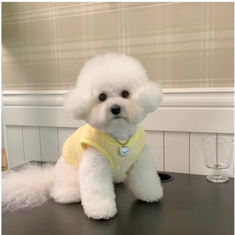 【汪喵森活】 微笑 雛菊 毛絨背心 狗狗衣服 比熊 博美 貴賓 貓咪 小型犬服飾 吉娃娃 雪納瑞 西施 比熊犬 秋冬服飾-細節圖10