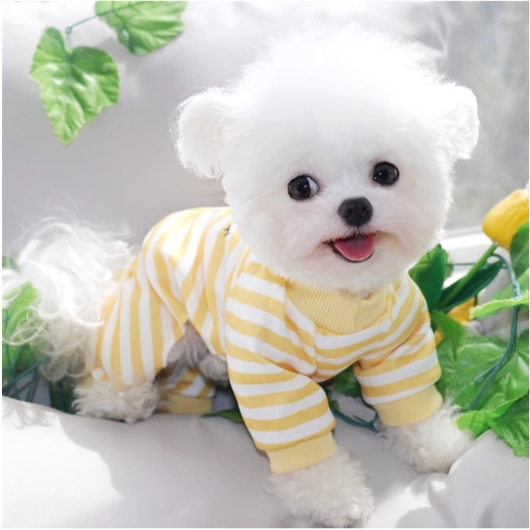 【汪喵森活】 春秋款 微笑 笑臉 寵物打底衣 寵物睡衣 寵物衣服 狗衣服 比熊 貴賓 貓咪 寵物四腳衣 寵物服飾 貓衣服-細節圖3