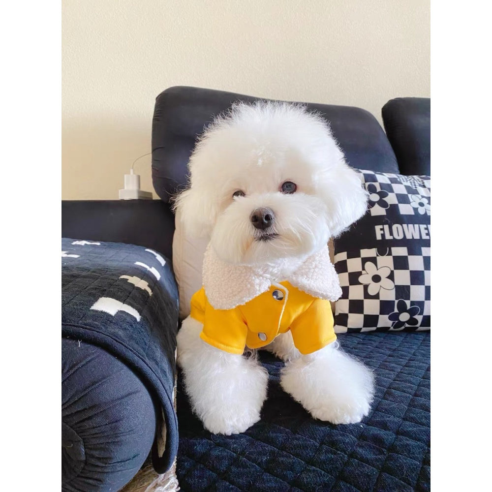 【汪喵森活】 SMILE 黃色 牛仔鋪棉外套 狗衣服 比熊 博美 貴賓 貓咪 小型犬服飾 吉娃娃 西施 比熊 秋冬服飾-細節圖3