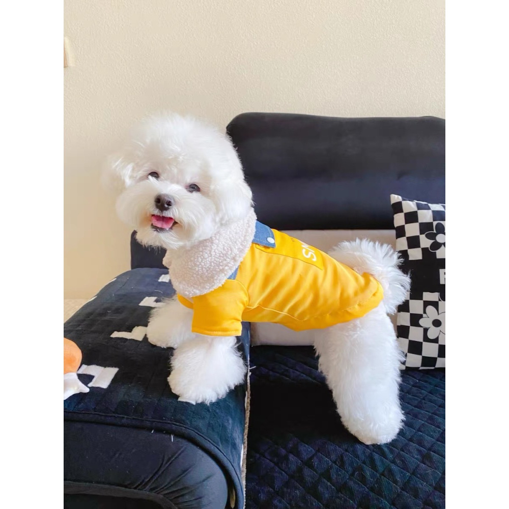 【汪喵森活】 SMILE 黃色 牛仔鋪棉外套 狗衣服 比熊 博美 貴賓 貓咪 小型犬服飾 吉娃娃 西施 比熊 秋冬服飾-細節圖4