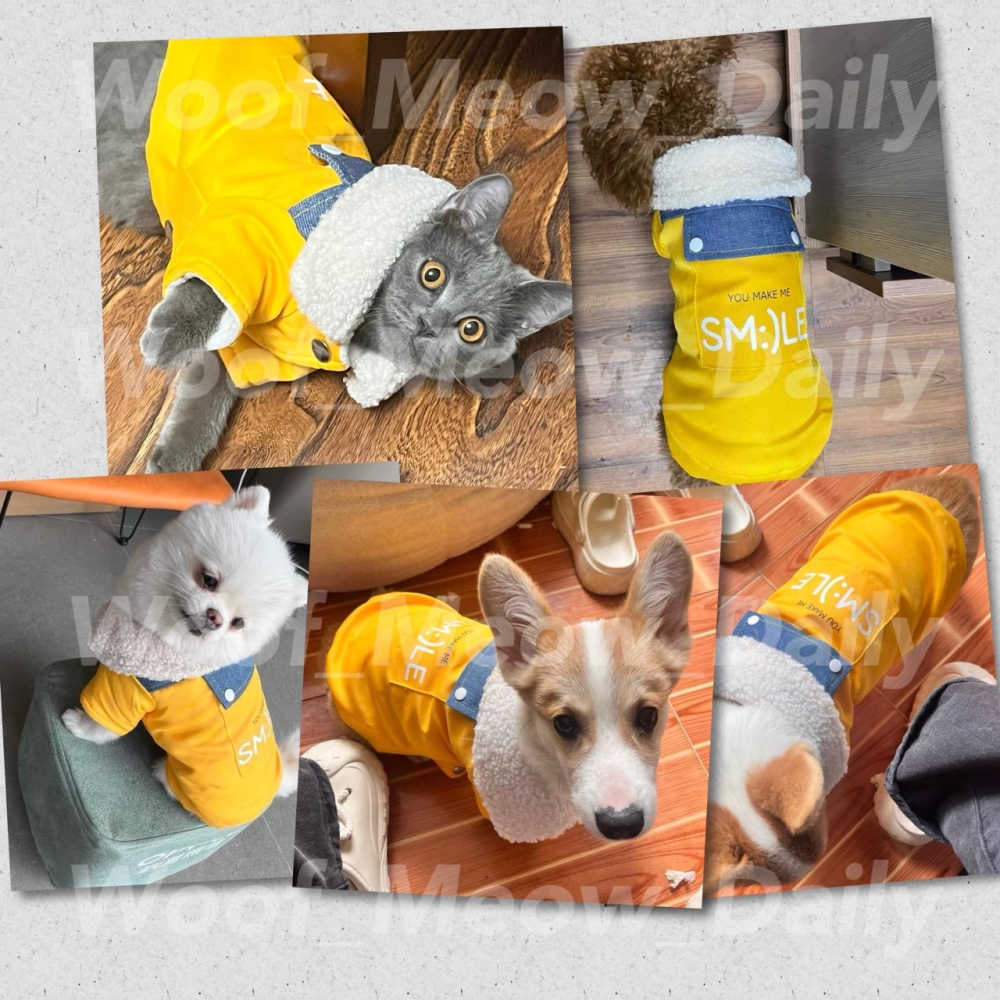 【汪喵森活】 SMILE 黃色 牛仔鋪棉外套 狗衣服 比熊 博美 貴賓 貓咪 小型犬服飾 吉娃娃 西施 比熊 秋冬服飾-細節圖6