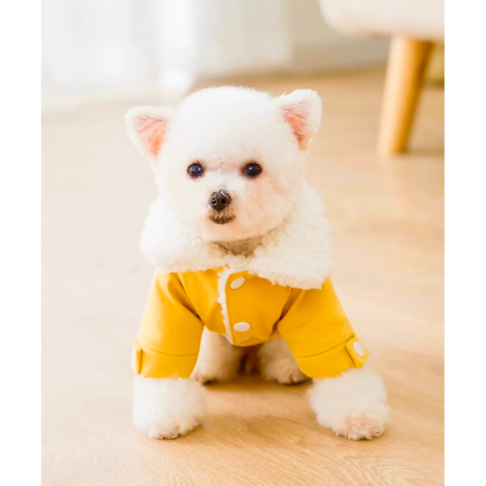 【汪喵森活】 SMILE 黃色 牛仔鋪棉外套 狗衣服 比熊 博美 貴賓 貓咪 小型犬服飾 吉娃娃 西施 比熊 秋冬服飾-細節圖8