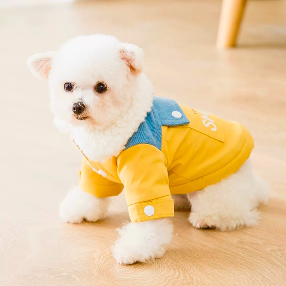【汪喵森活】 SMILE 黃色 牛仔鋪棉外套 狗衣服 比熊 博美 貴賓 貓咪 小型犬服飾 吉娃娃 西施 比熊 秋冬服飾-細節圖10