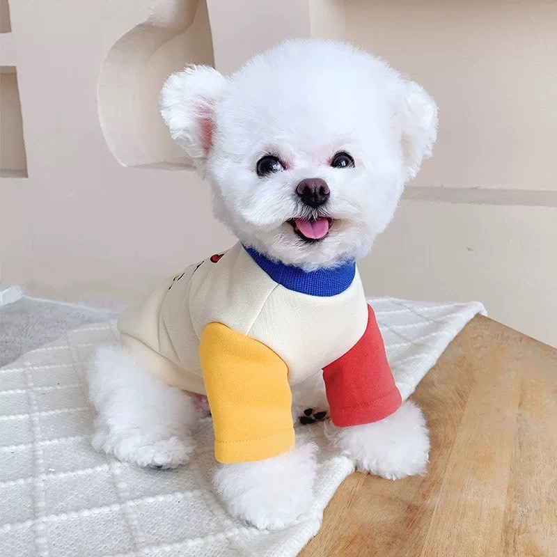 【汪喵森活】 BOOM 星球熊熊 撞色衛衣 加絨 保暖 狗衣服 寵物服飾 貓狗衣服 貴賓 比熊 吉娃娃 馬爾濟斯 博美-細節圖6