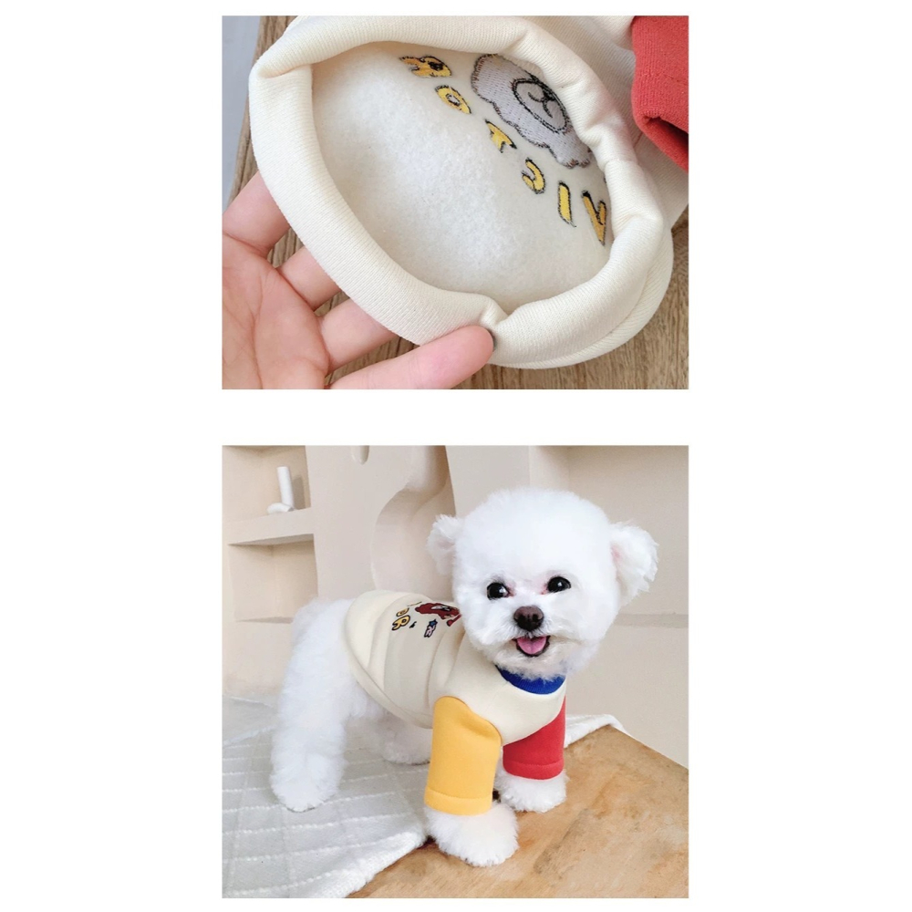【汪喵森活】 BOOM 星球熊熊 撞色衛衣 加絨 保暖 狗衣服 寵物服飾 貓狗衣服 貴賓 比熊 吉娃娃 馬爾濟斯 博美-細節圖10