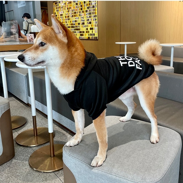 【汪喵森活】 潮流字母 寵物帽Tee 3色 寵物服飾 秋冬衣服 狗狗衣服 中型犬 貴賓狗 柯基 法鬥 柴犬 米克斯 保暖-細節圖9