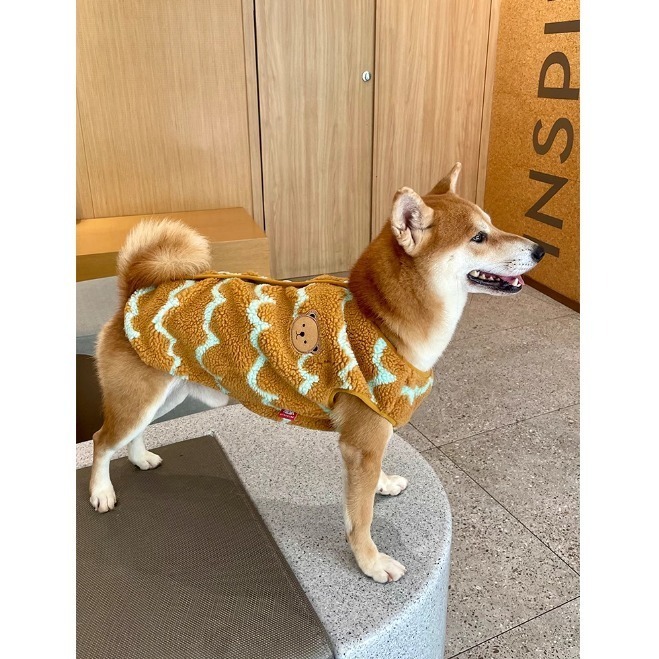 【汪喵森活】 波浪熊熊 羊羔毛背心 2色 寵物衣服 秋冬服飾 狗衣服 貴賓 雪納瑞 西高地 比熊 柯基 柴犬 保暖衣服-細節圖6
