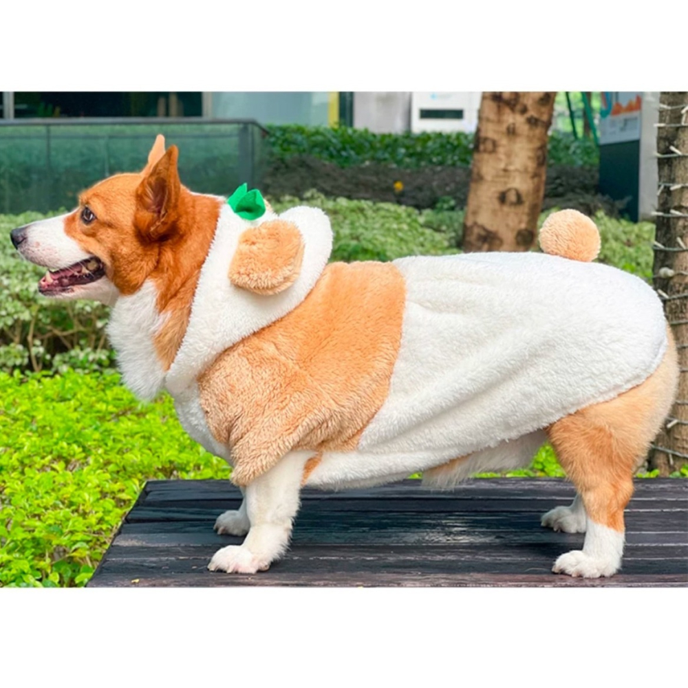 【汪喵森活】 小草 熊耳 變身帽衣 鈕扣外套 可愛 保暖 秋冬服飾 狗衣服 寵物服飾 雪納瑞 西高地 比熊 柯基 柴犬-細節圖3