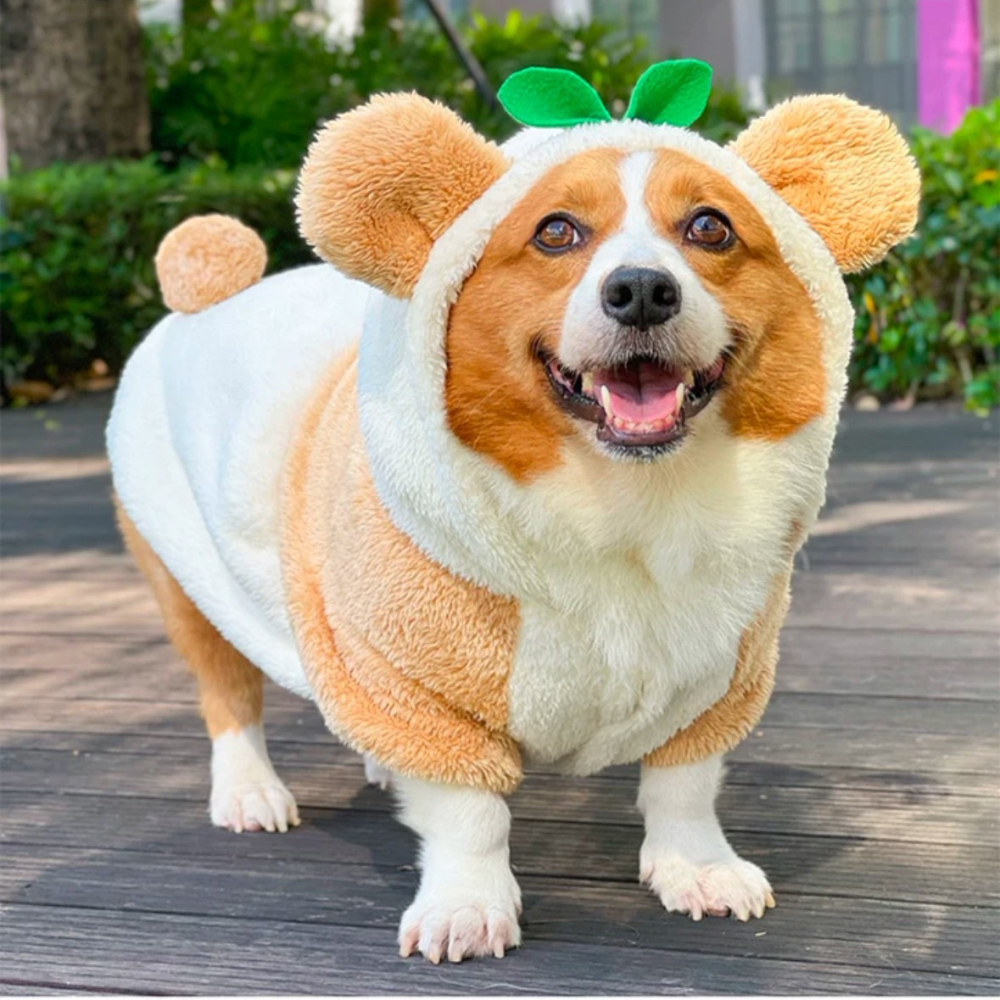 【汪喵森活】 小草 熊耳 變身帽衣 鈕扣外套 可愛 保暖 秋冬服飾 狗衣服 寵物服飾 雪納瑞 西高地 比熊 柯基 柴犬-細節圖6