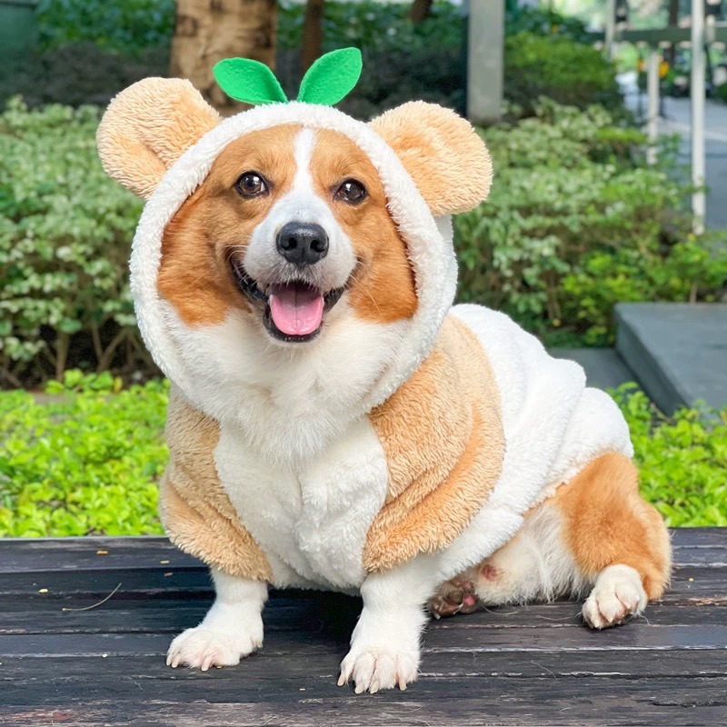 【汪喵森活】 小草 熊耳 變身帽衣 鈕扣外套 可愛 保暖 秋冬服飾 狗衣服 寵物服飾 雪納瑞 西高地 比熊 柯基 柴犬-細節圖7