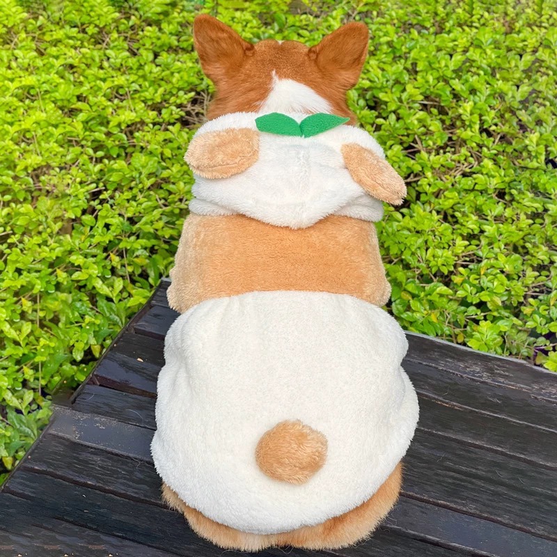 【汪喵森活】 小草 熊耳 變身帽衣 鈕扣外套 可愛 保暖 秋冬服飾 狗衣服 寵物服飾 雪納瑞 西高地 比熊 柯基 柴犬-細節圖8