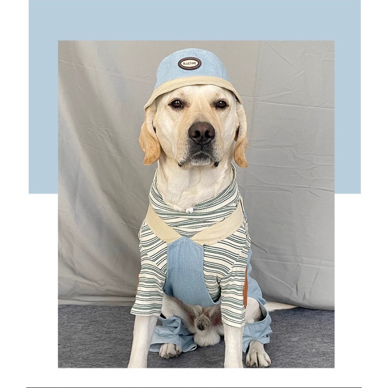【汪喵森活】 手沖摩卡 復古牛仔 40kg內 復古風 吊帶褲 寵物服飾 狗衣服 比熊 博美 貴賓 小型犬 柴犬 大狗衣服-細節圖6