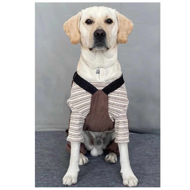 【汪喵森活】 手沖摩卡 復古牛仔 40kg內 復古風 吊帶褲 寵物服飾 狗衣服 比熊 博美 貴賓 小型犬 柴犬 大狗衣服-細節圖8