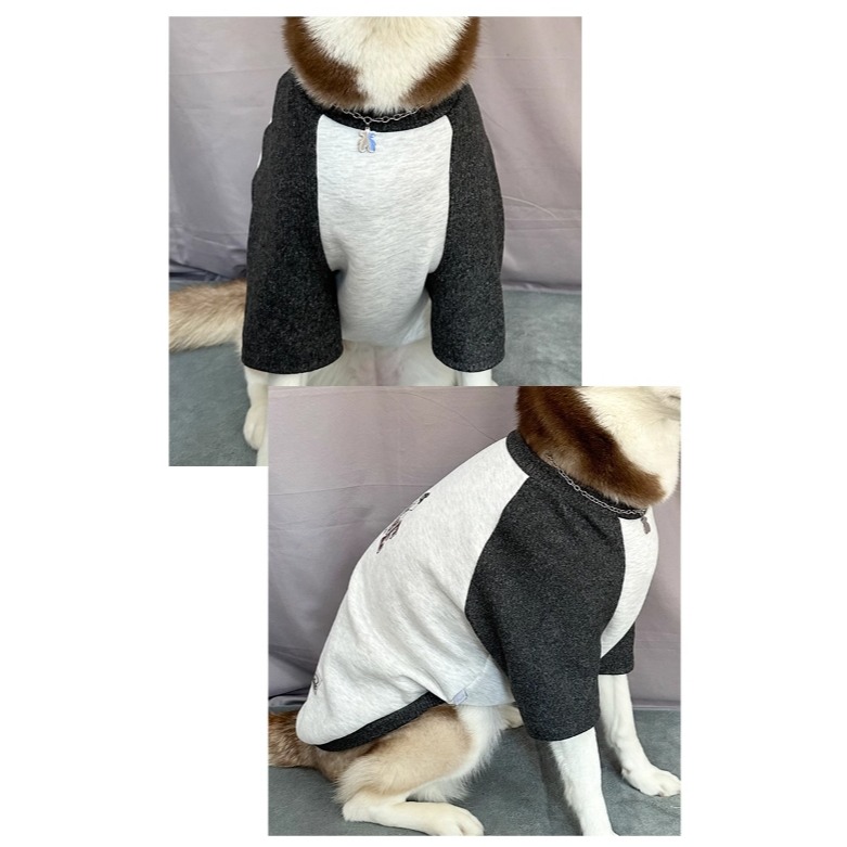 【汪喵森活】 美式復古風 揮手熊熊 寵物衛衣 T恤 柴犬 柯基 狗衣服 黃金獵犬 拉不拉多 薩摩耶 米克斯 邊境 巨貴-細節圖9