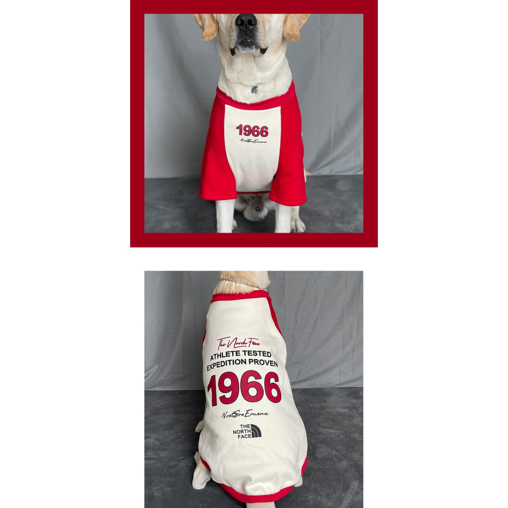 【汪喵森活】 1966美式街頭 40kg內 加絨衛衣 美式復古風 狗衣服 拉不拉多 薩摩耶 柴犬 米克斯 邊境 黃金獵犬-細節圖2