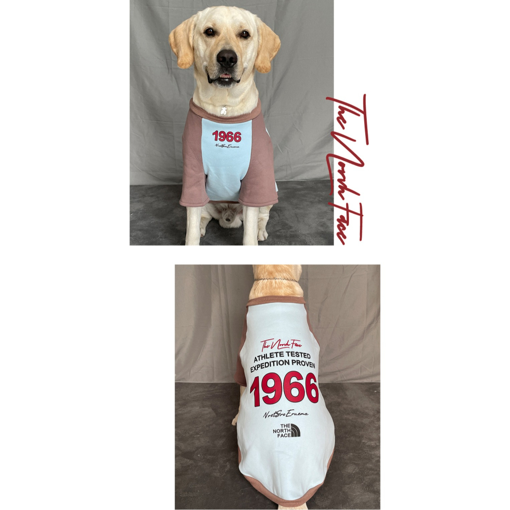 【汪喵森活】 1966美式街頭 40kg內 加絨衛衣 美式復古風 狗衣服 拉不拉多 薩摩耶 柴犬 米克斯 邊境 黃金獵犬-細節圖4