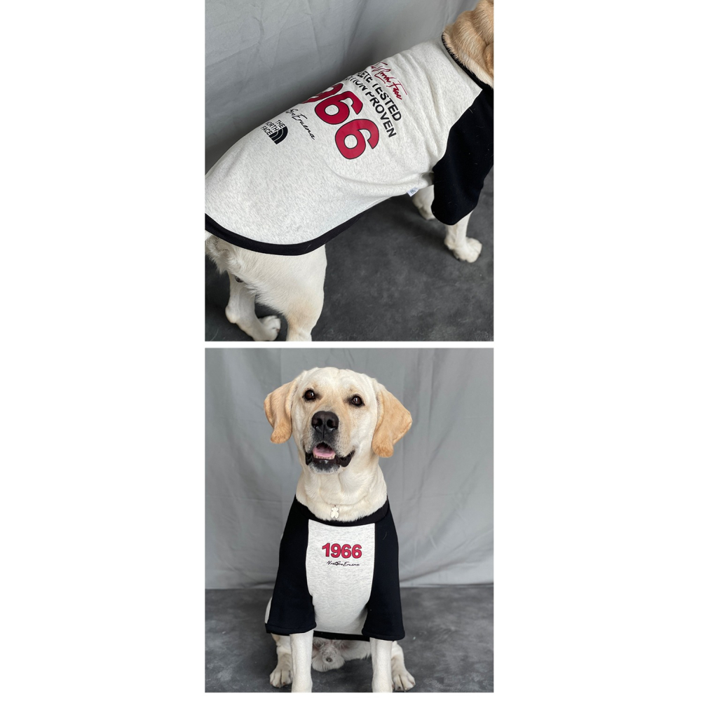 【汪喵森活】 1966美式街頭 40kg內 加絨衛衣 美式復古風 狗衣服 拉不拉多 薩摩耶 柴犬 米克斯 邊境 黃金獵犬-細節圖5