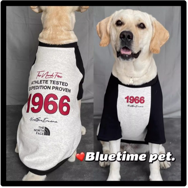 【汪喵森活】 1966美式街頭 40kg內 加絨衛衣 美式復古風 狗衣服 拉不拉多 薩摩耶 柴犬 米克斯 邊境 黃金獵犬-細節圖6