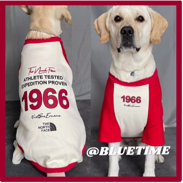 【汪喵森活】 1966美式街頭 40kg內 加絨衛衣 美式復古風 狗衣服 拉不拉多 薩摩耶 柴犬 米克斯 邊境 黃金獵犬-細節圖7