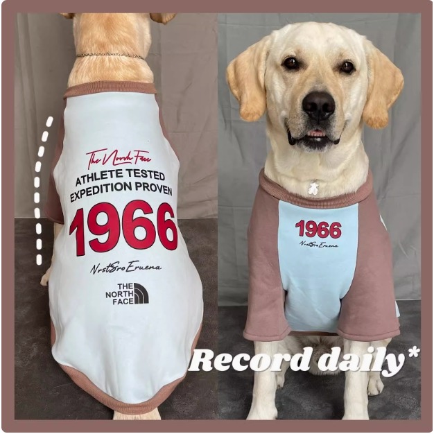 【汪喵森活】 1966美式街頭 40kg內 加絨衛衣 美式復古風 狗衣服 拉不拉多 薩摩耶 柴犬 米克斯 邊境 黃金獵犬-細節圖8