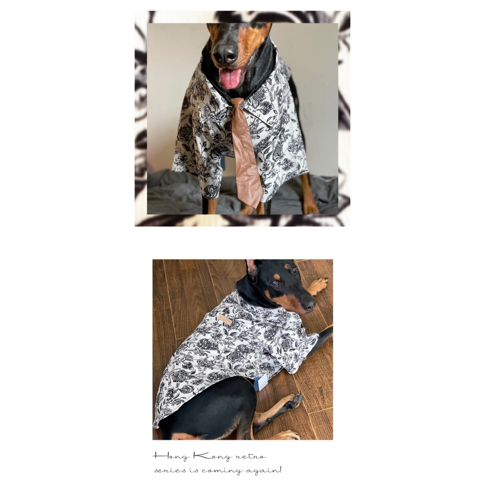 【汪喵森活】 復古領帶花襯衫 45kg內 貝斯手男友 燈芯絨 狗衣服 拉不拉多 薩摩耶 柴犬 米克斯 邊境 黃金獵犬-細節圖4