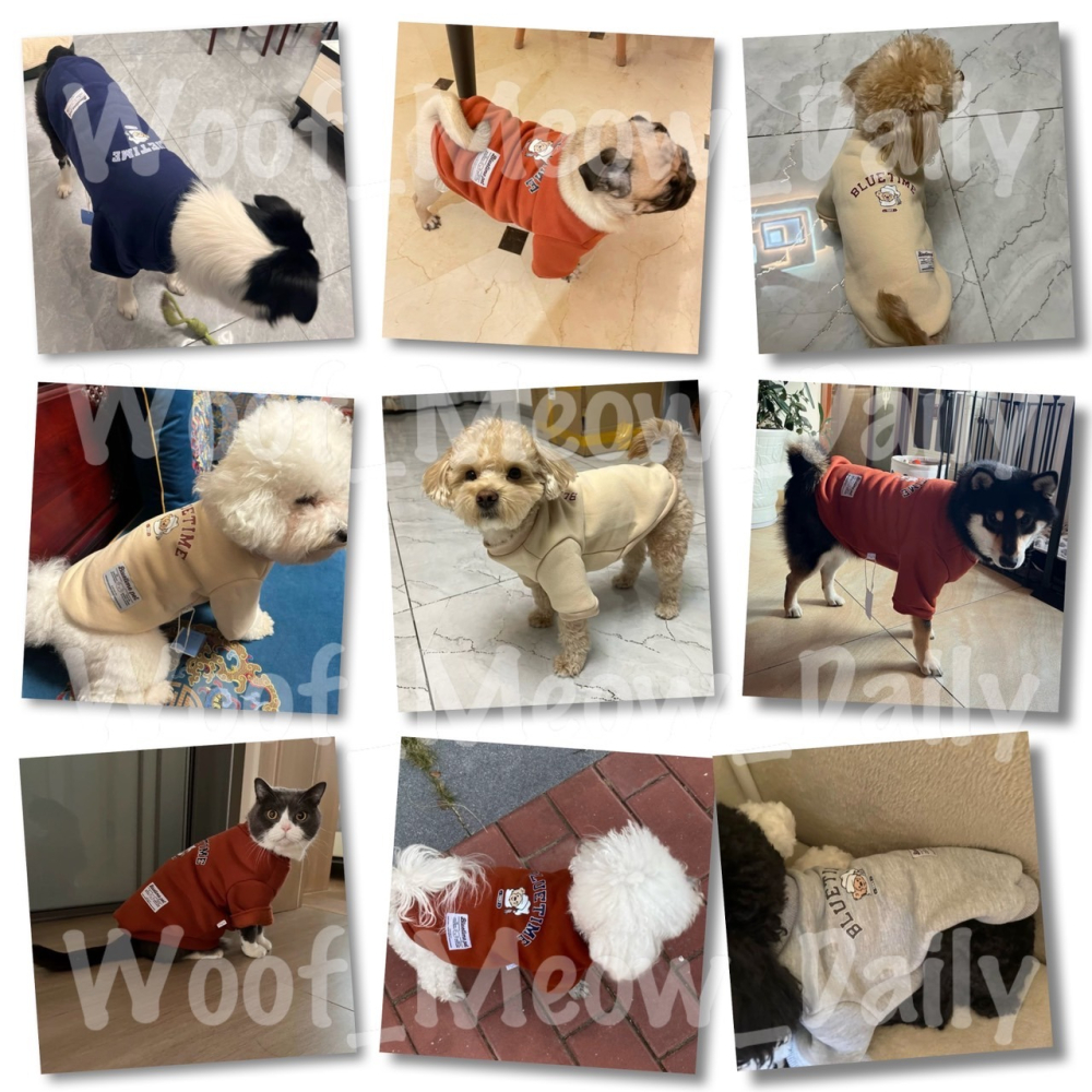 【汪喵森活】 帽子熊熊 40kg內 加絨衛衣 美式復古 狗衣服 黃金獵犬 薩摩耶 柴犬 柯基 米克斯 邊境 貴賓 比熊-細節圖9