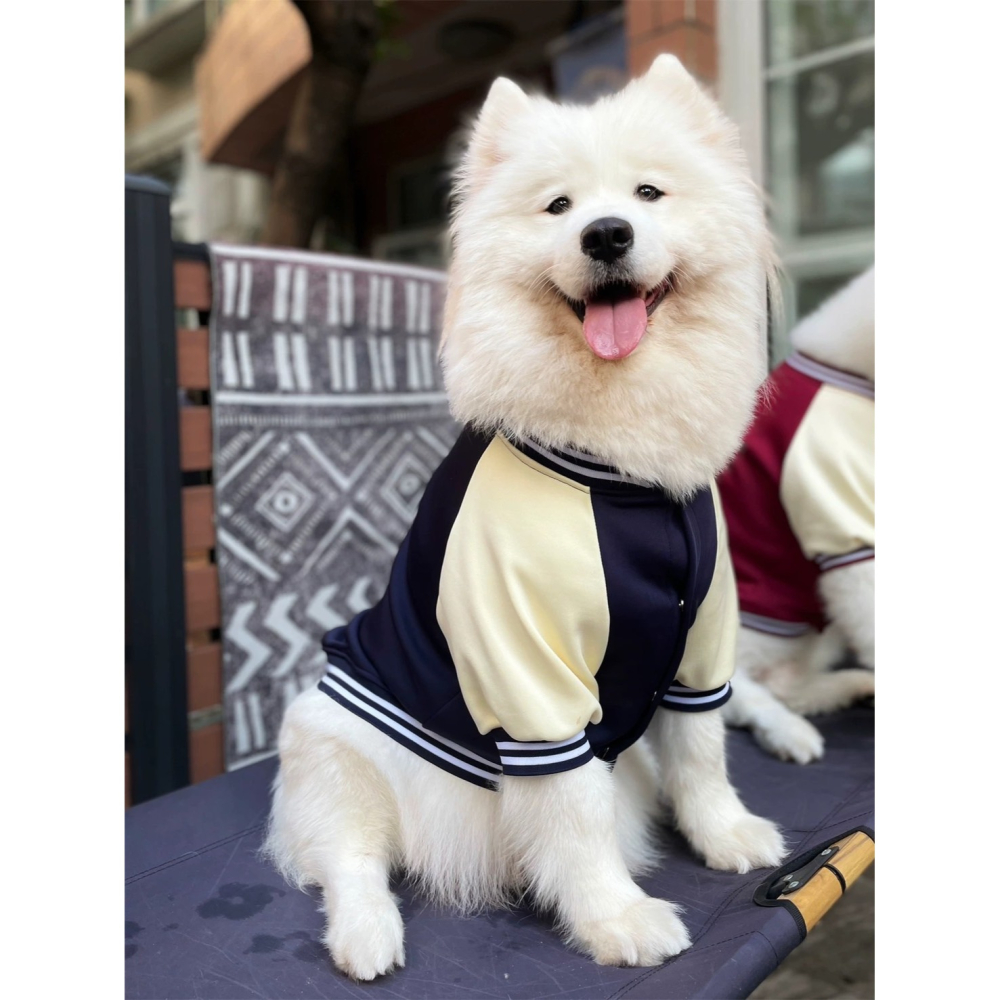 【汪喵森活】 2色45kg內 棒球外套 寵物外套 秋冬服飾 狗衣服 雪納瑞 米克斯 比熊 柯基 法鬥 柴犬 貴賓 比熊犬-細節圖4