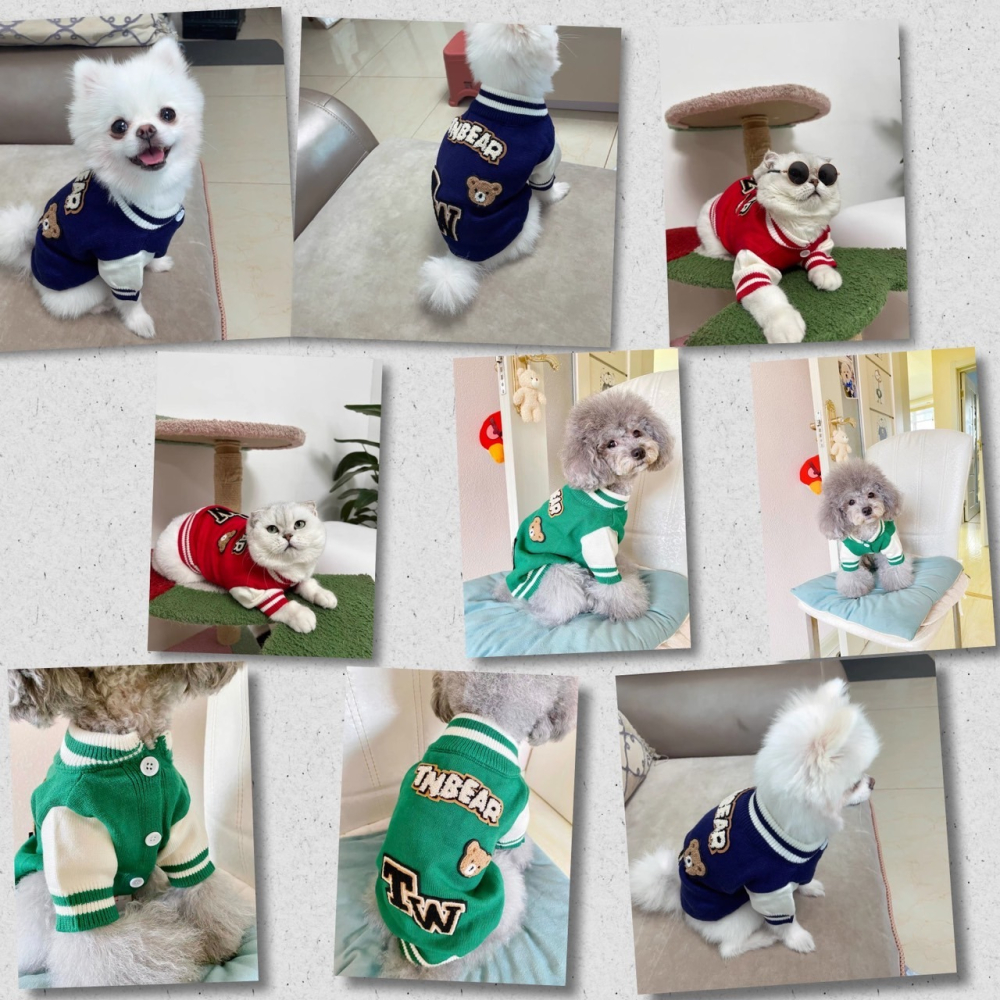 【汪喵森活】 TW熊熊棒球風 針織外套 狗衣服 比熊 博美 貴賓 貓咪 小型犬服飾 吉娃娃 西施 比熊 秋冬服飾 博美-細節圖3