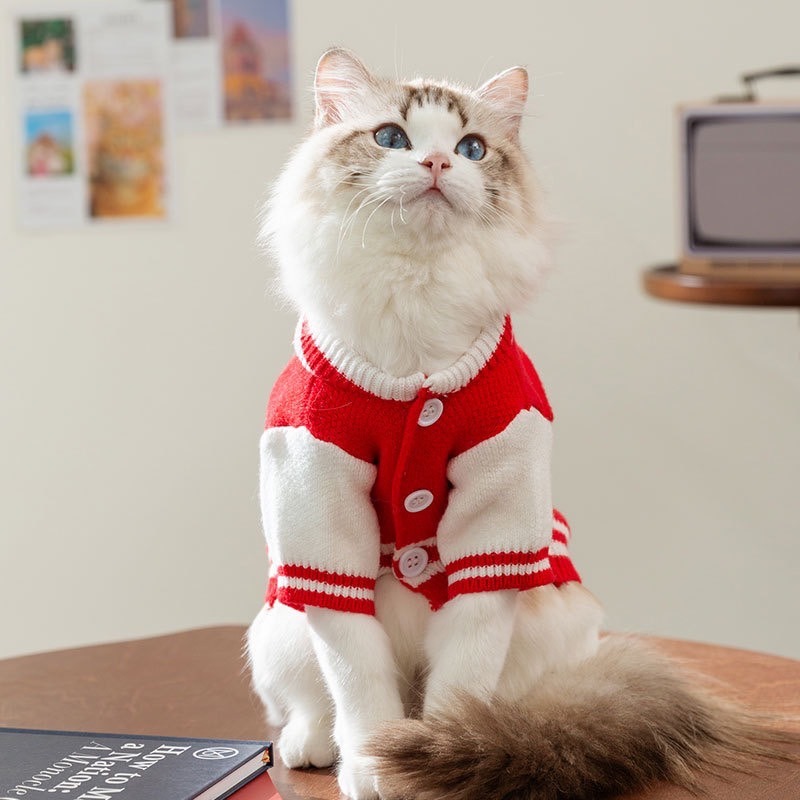 【汪喵森活】 TW熊熊棒球風 針織外套 狗衣服 比熊 博美 貴賓 貓咪 小型犬服飾 吉娃娃 西施 比熊 秋冬服飾 博美-細節圖7