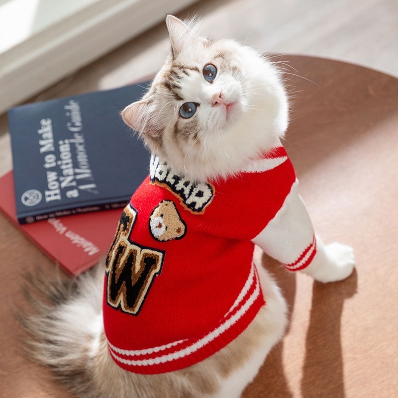 【汪喵森活】 TW熊熊棒球風 針織外套 狗衣服 比熊 博美 貴賓 貓咪 小型犬服飾 吉娃娃 西施 比熊 秋冬服飾 博美-細節圖8