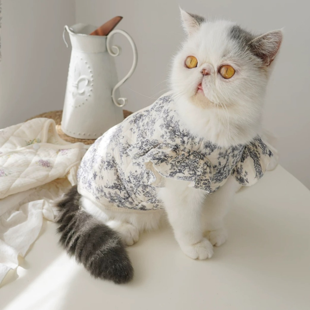 【汪喵森活】Sunny Day 水墨風 飛袖 純棉背心 寵物背心 防風背心 風衣背心 秋冬服飾 狗衣服 比熊 貴賓 貓咪-細節圖5