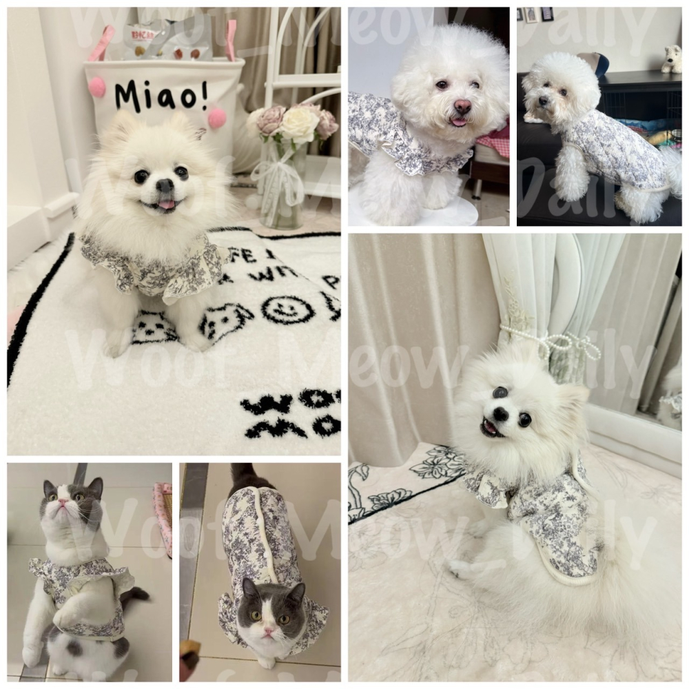 【汪喵森活】Sunny Day 水墨風 飛袖 純棉背心 寵物背心 防風背心 風衣背心 秋冬服飾 狗衣服 比熊 貴賓 貓咪-細節圖8