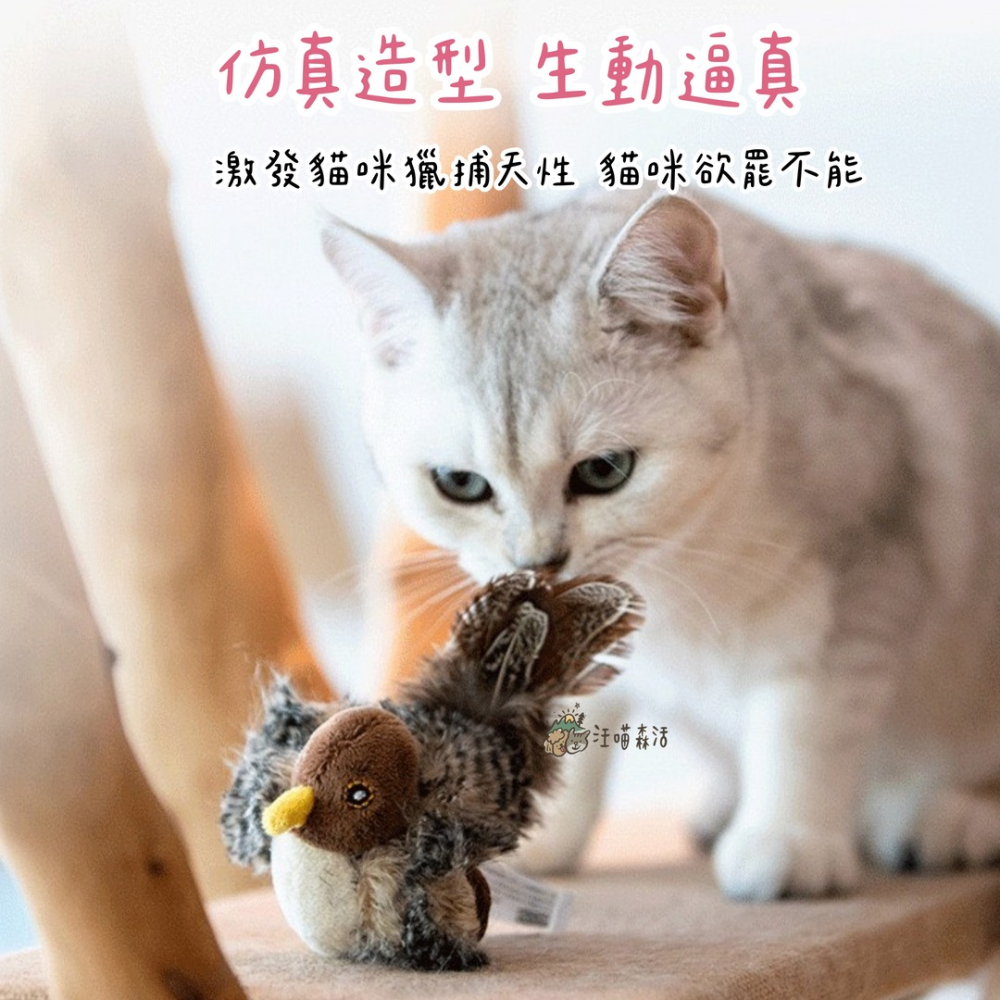 【汪喵森活】 仿真 貓咪玩具 小鳥玩具 老鼠玩具 刺蝟 原生羽毛 發聲玩具 陪伴玩具 貓玩具 仿真貓玩具 抱枕玩具 貓咪-細節圖3