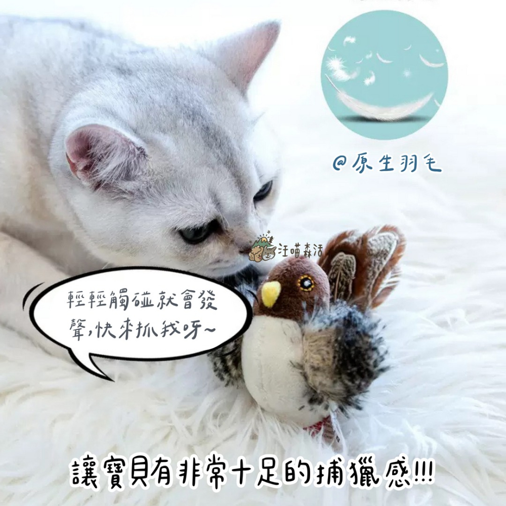 【汪喵森活】 仿真 貓咪玩具 小鳥玩具 老鼠玩具 刺蝟 原生羽毛 發聲玩具 陪伴玩具 貓玩具 仿真貓玩具 抱枕玩具 貓咪-細節圖4
