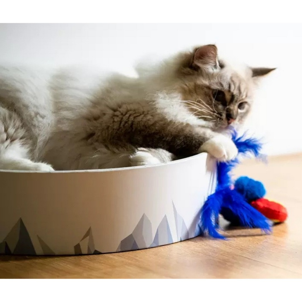 【汪喵森活】 仿真 貓咪玩具 小鳥玩具 老鼠玩具 刺蝟 原生羽毛 發聲玩具 陪伴玩具 貓玩具 仿真貓玩具 抱枕玩具 貓咪-細節圖7